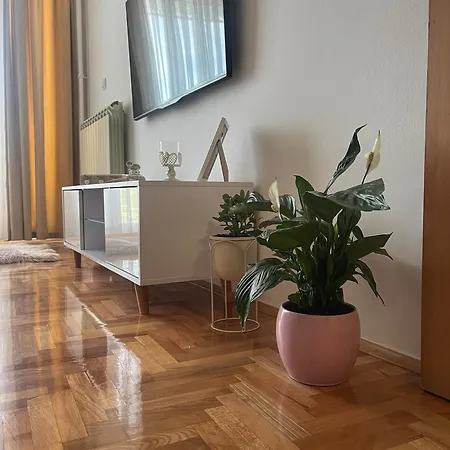 Apartman Nini Kraljevo Exterior photo