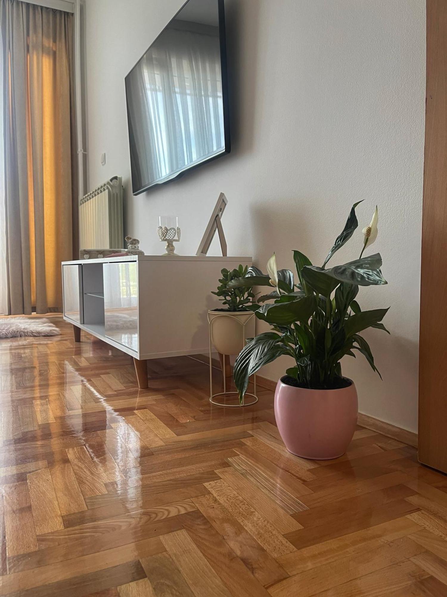 Nini Apartment Kraljevo